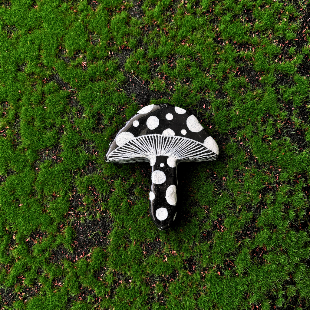 mushroom magnets