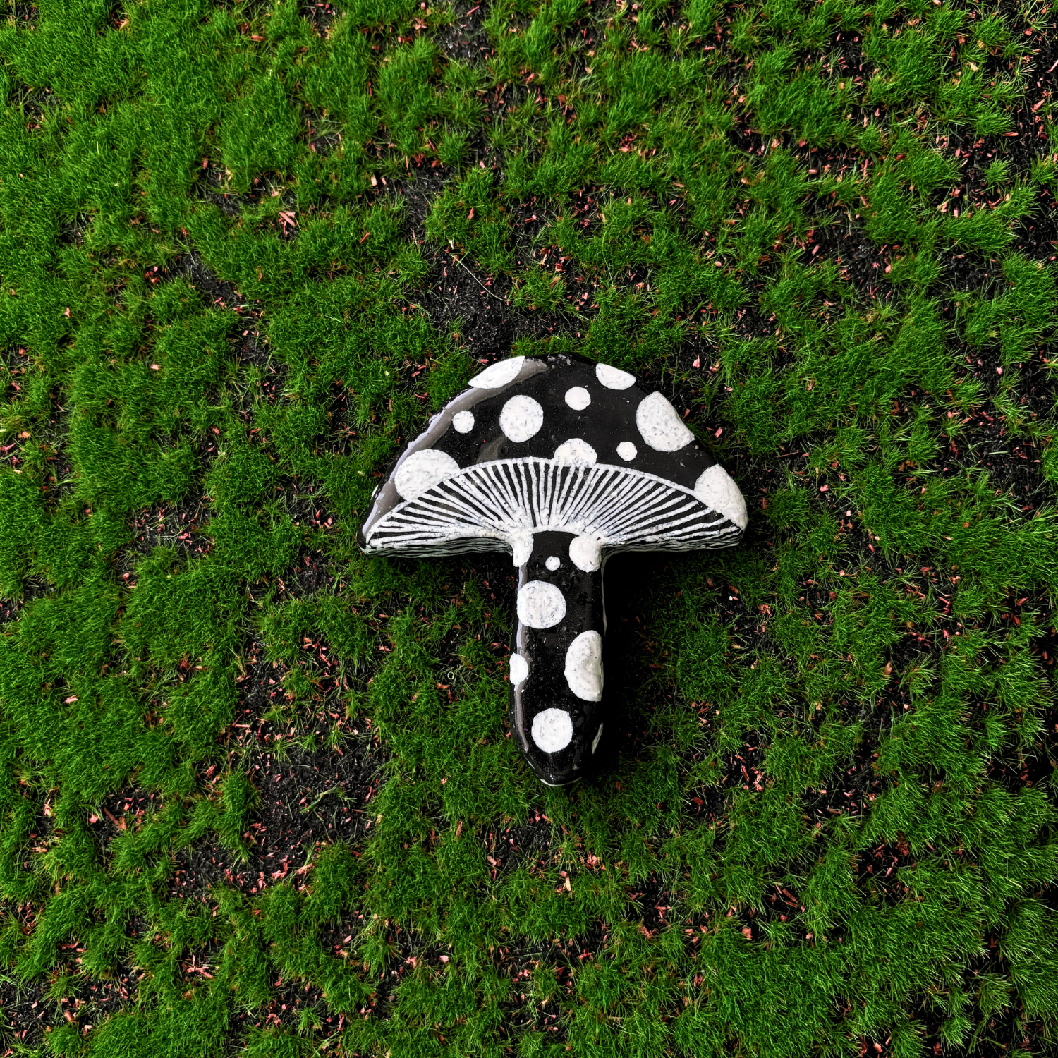 mushroom magnets