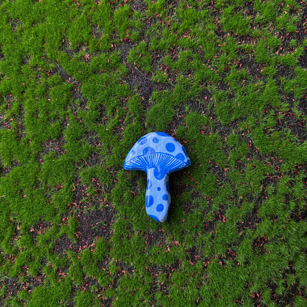 mushroom magnets