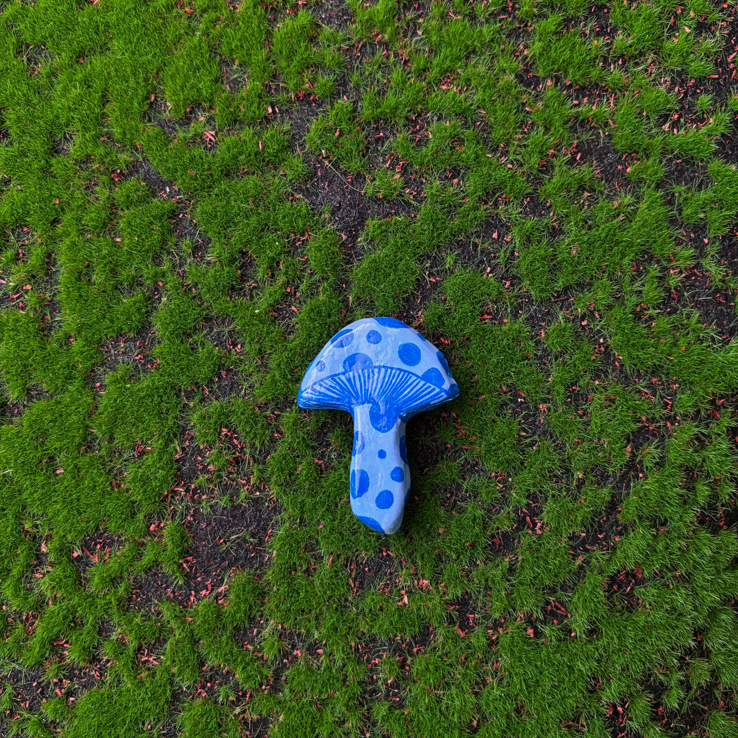 mushroom magnets