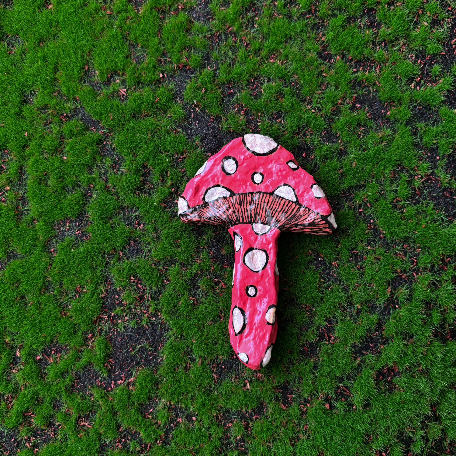 mushroom magnets
