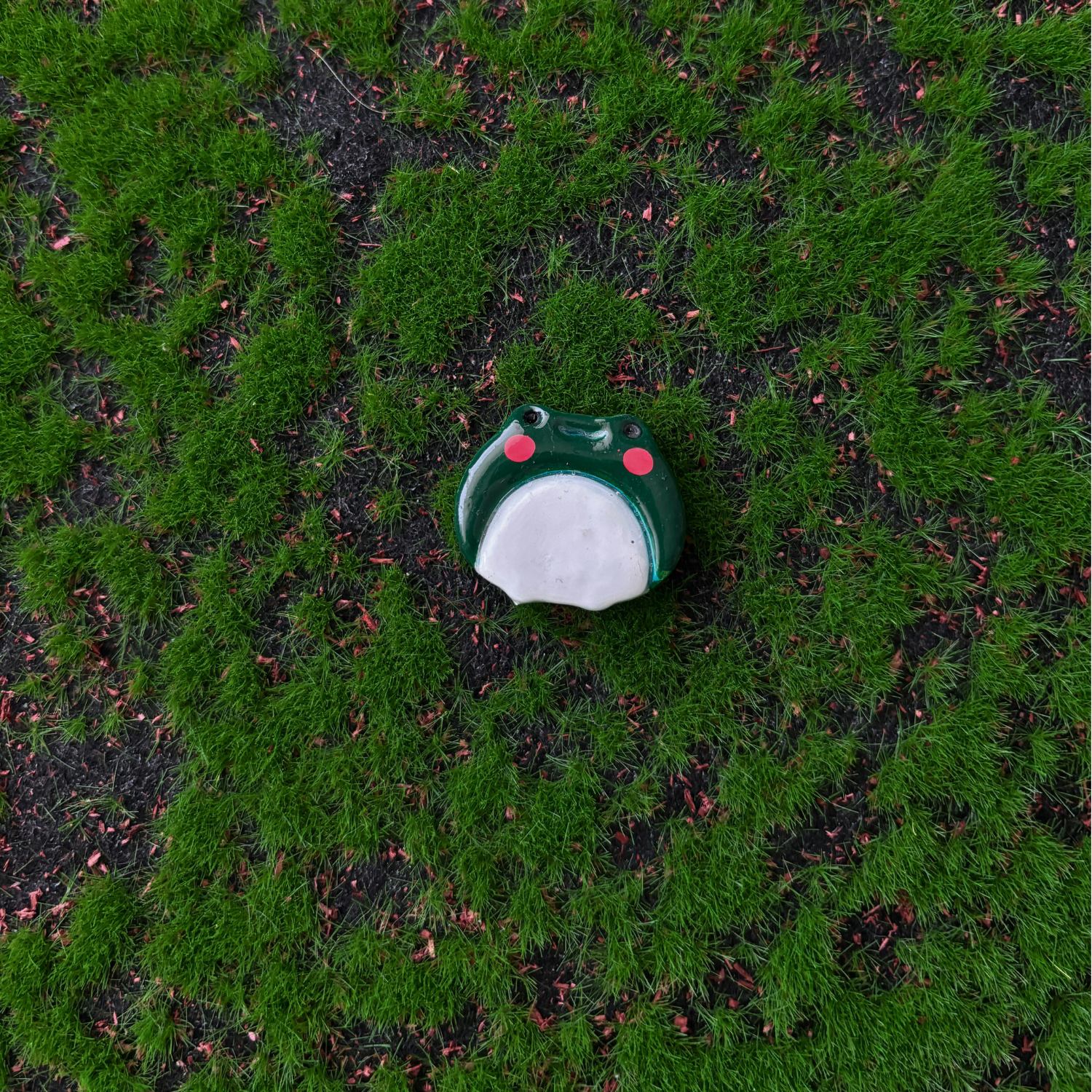 frog magnets