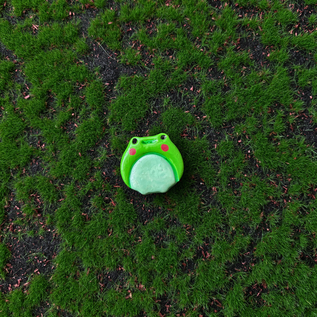 frog magnets