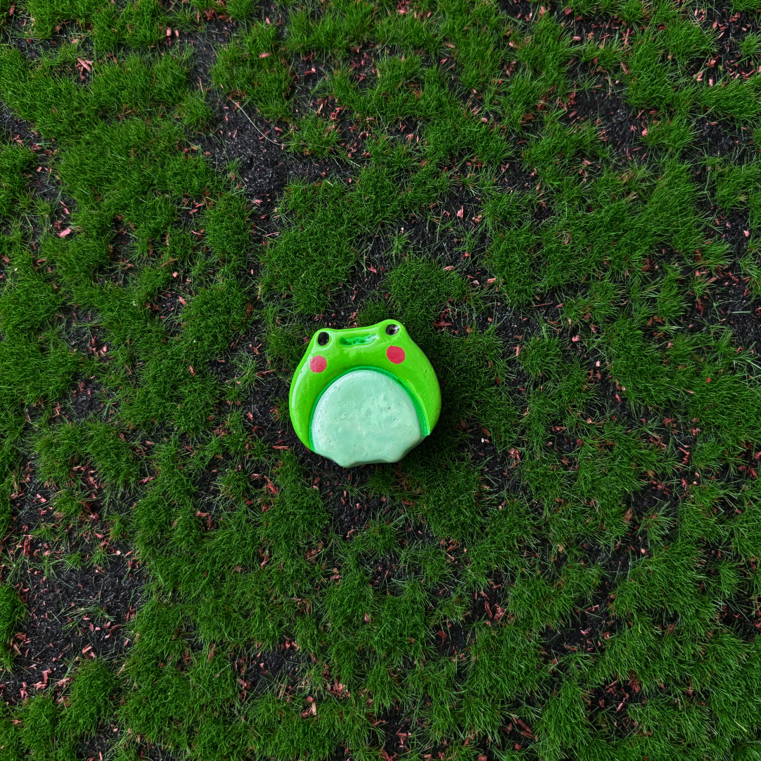 frog magnets