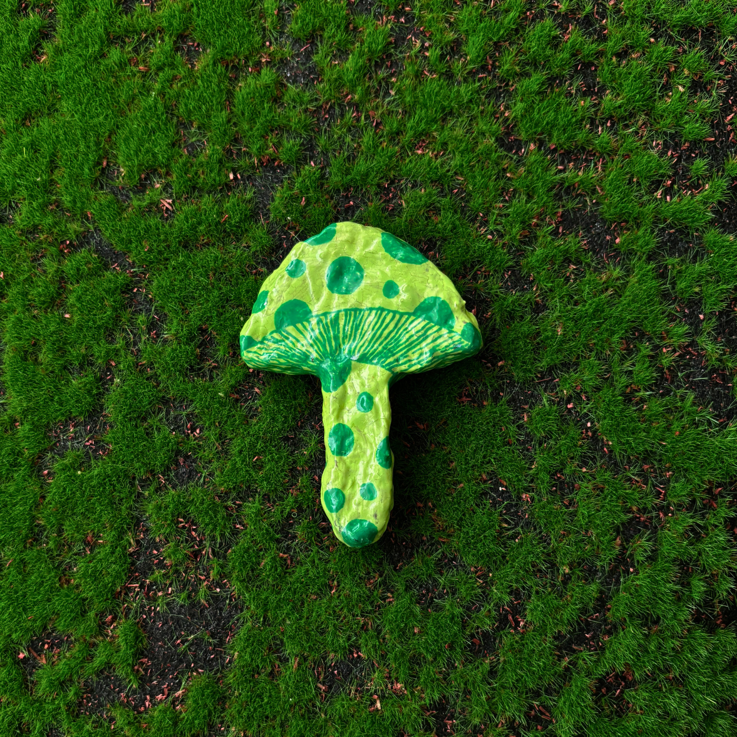 mushroom magnets
