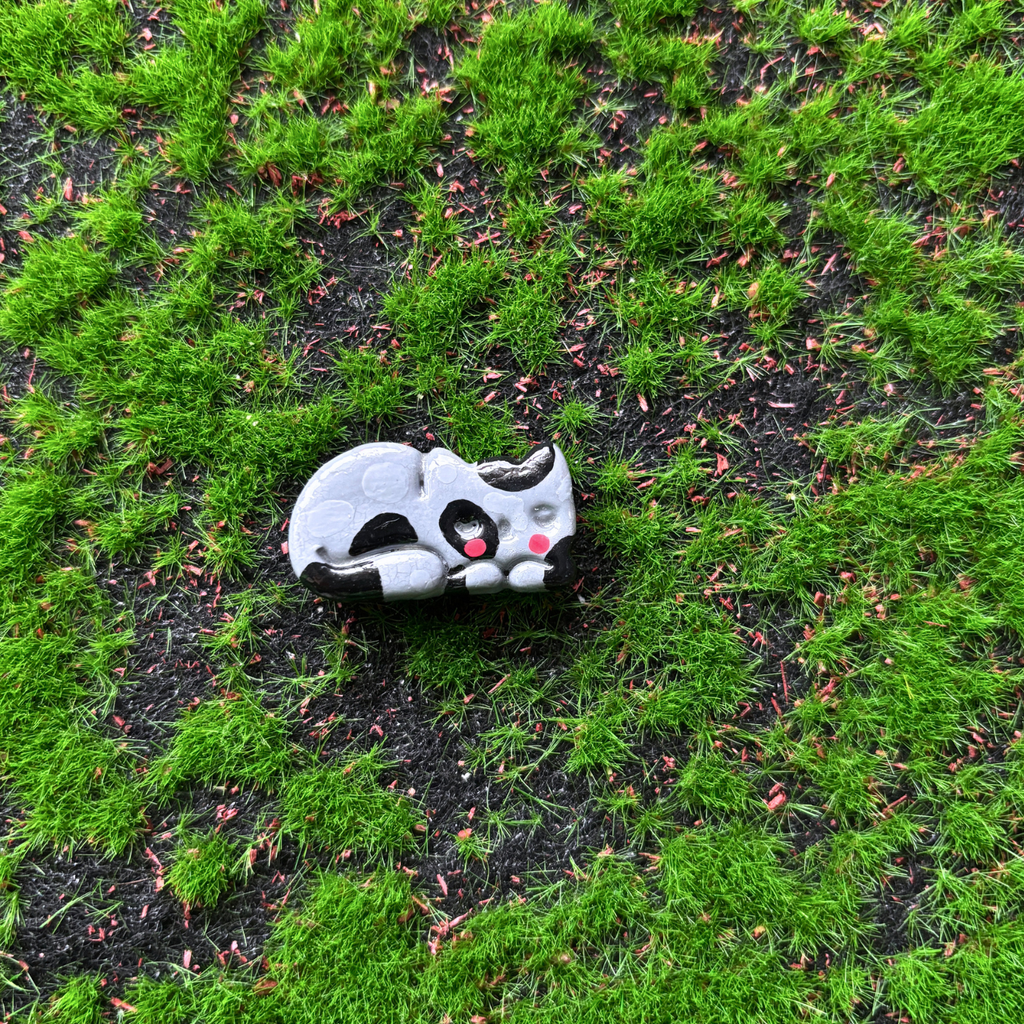 lil cat magnets