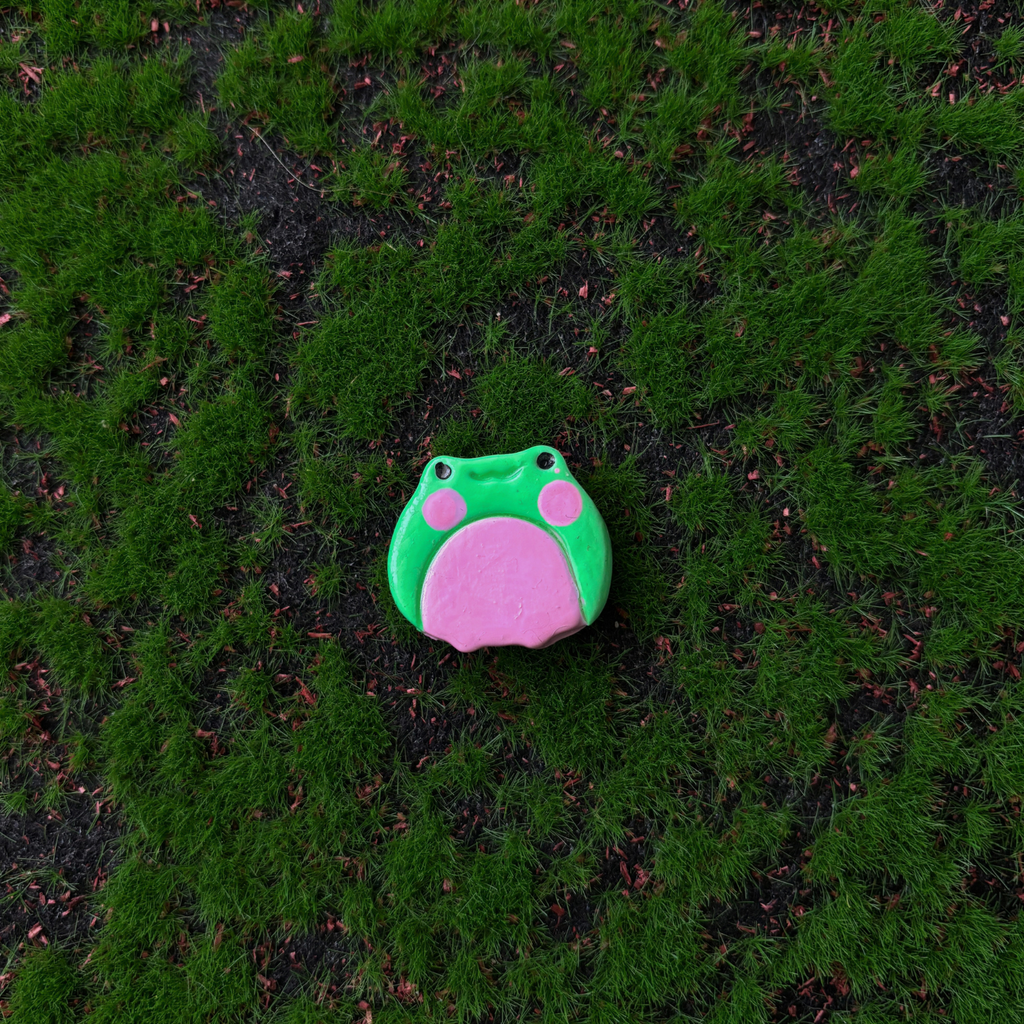 frog magnets