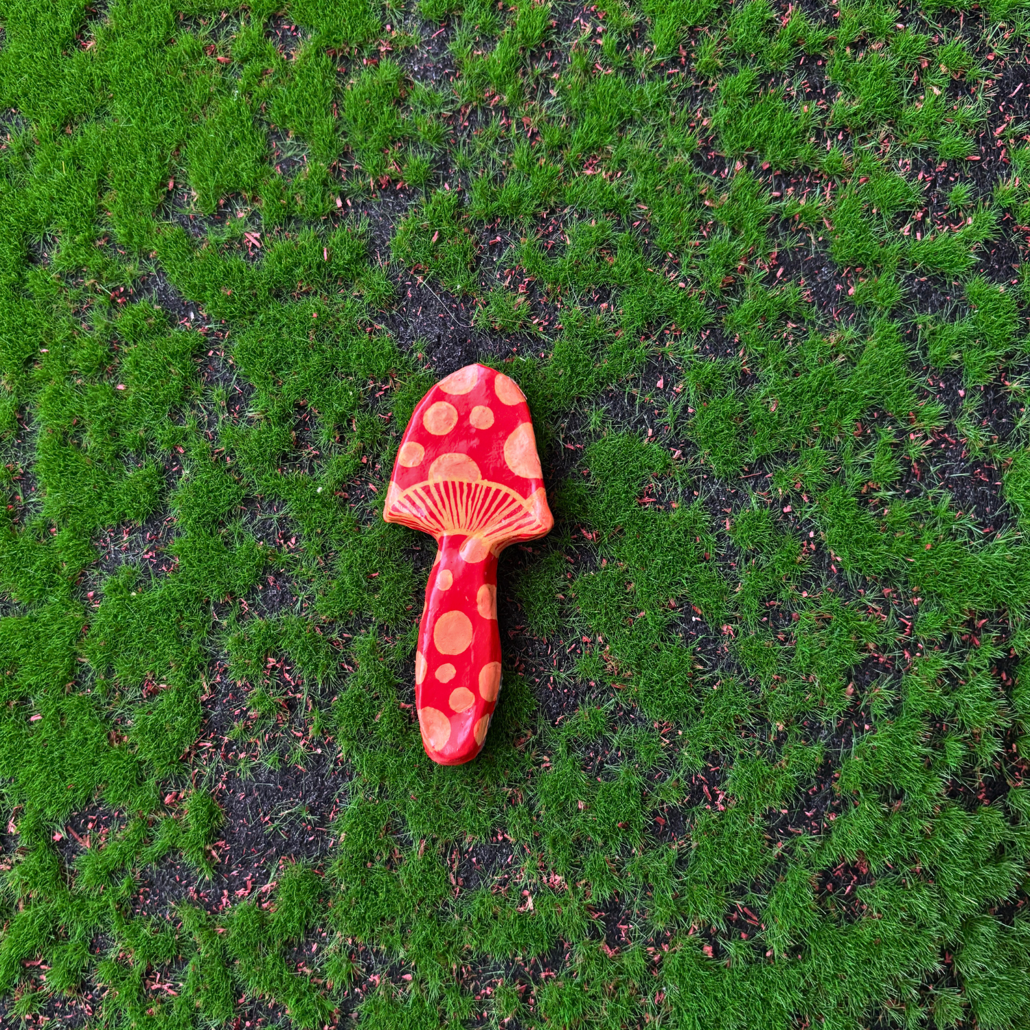 mushroom magnets