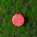 pro-noun pins