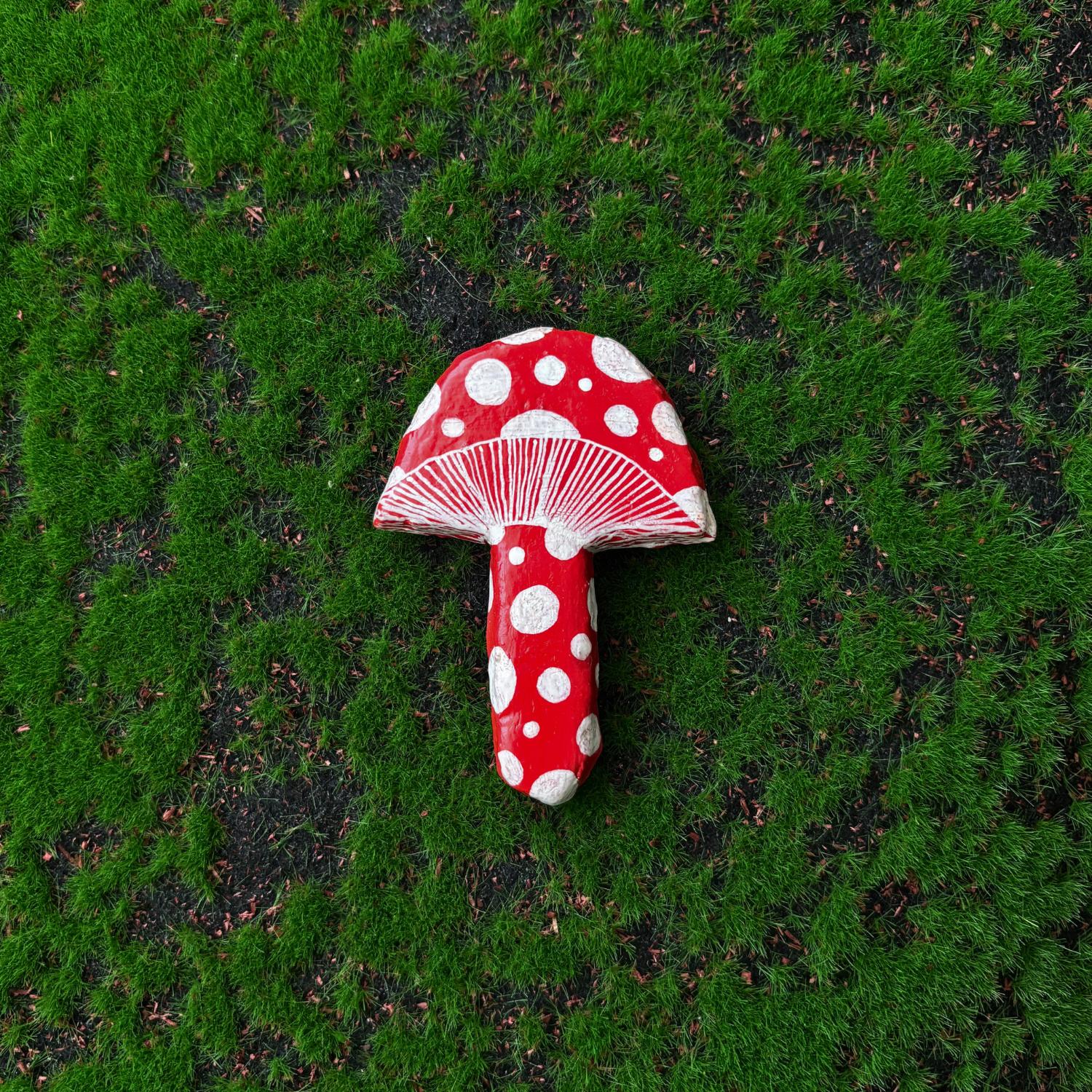 mushroom magnets
