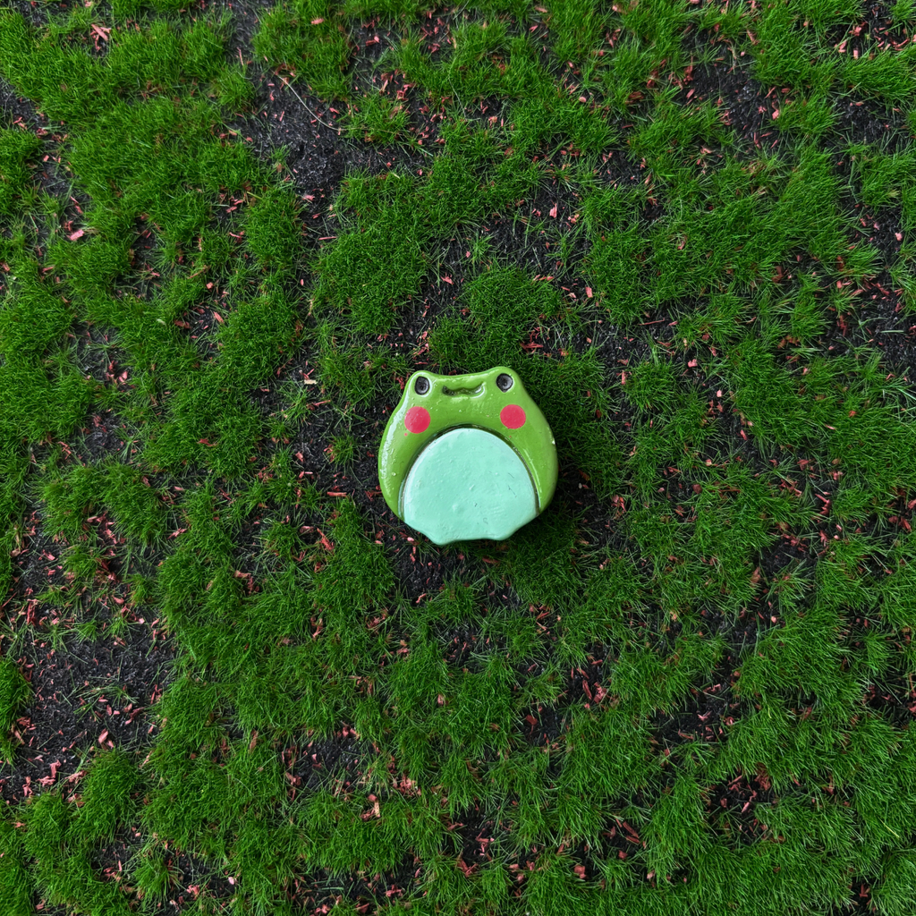 frog magnets