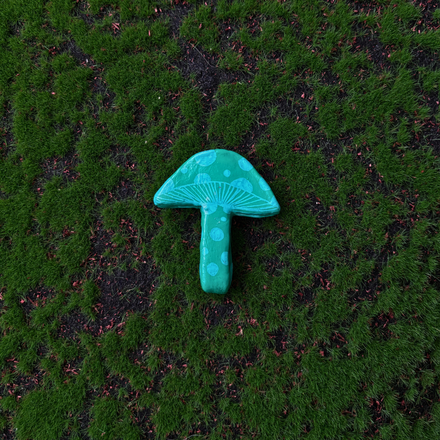 mushroom magnets