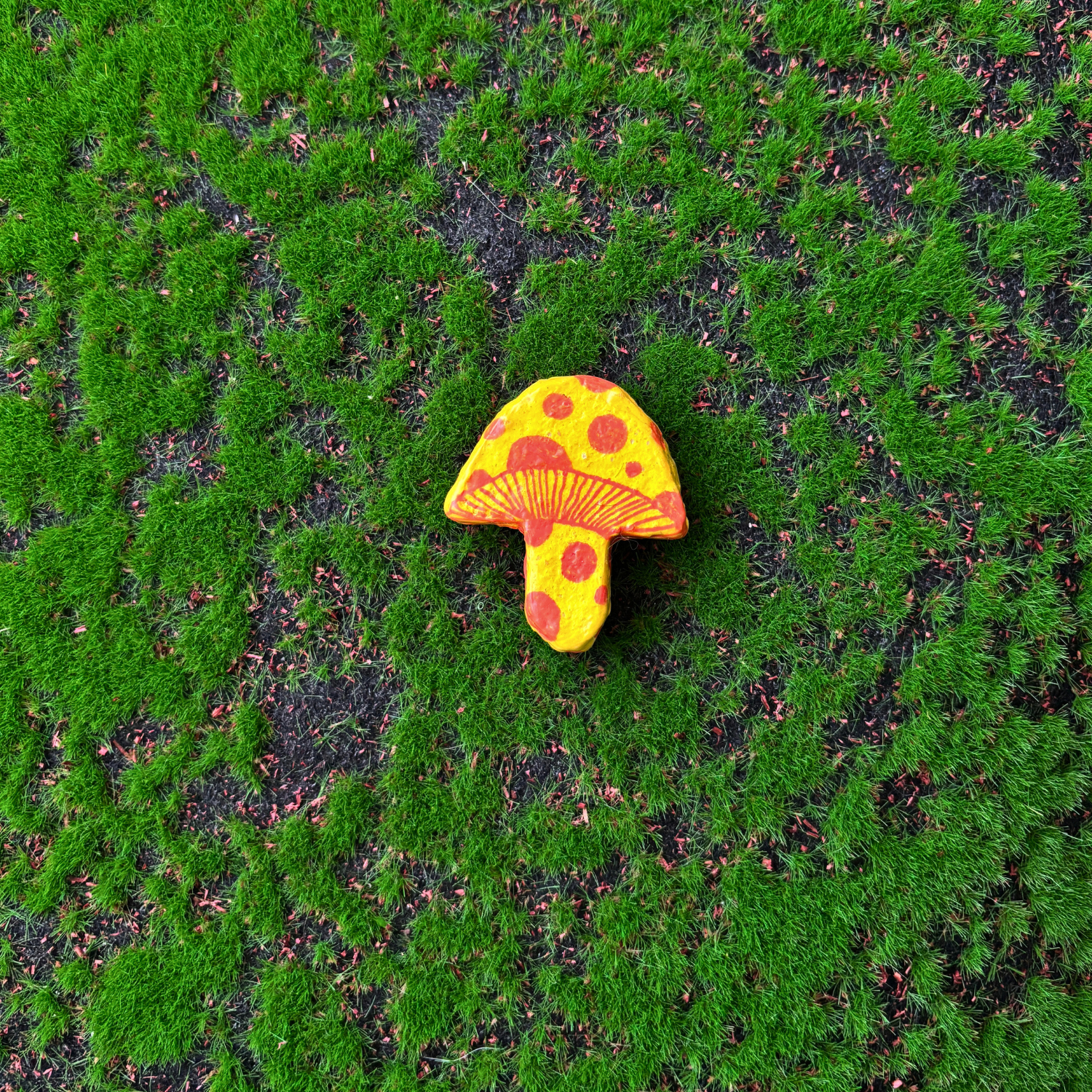 mushroom magnets